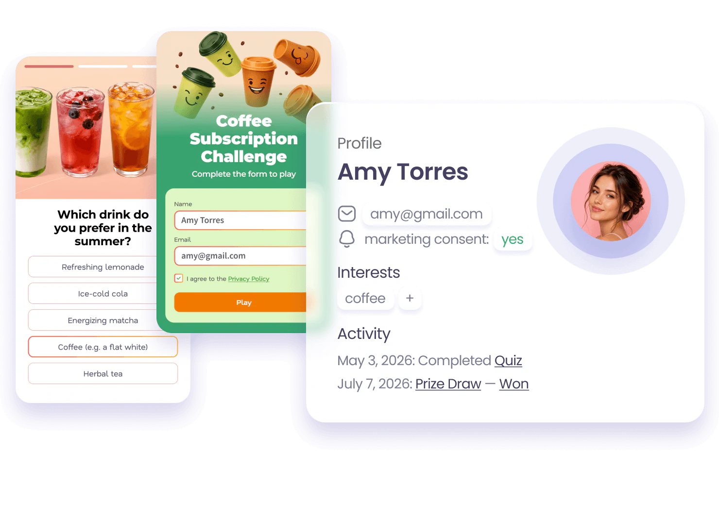 Customer profile enriched with e-commerce campaign data